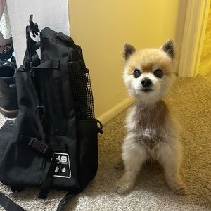 K9 sport sack Dog backpack